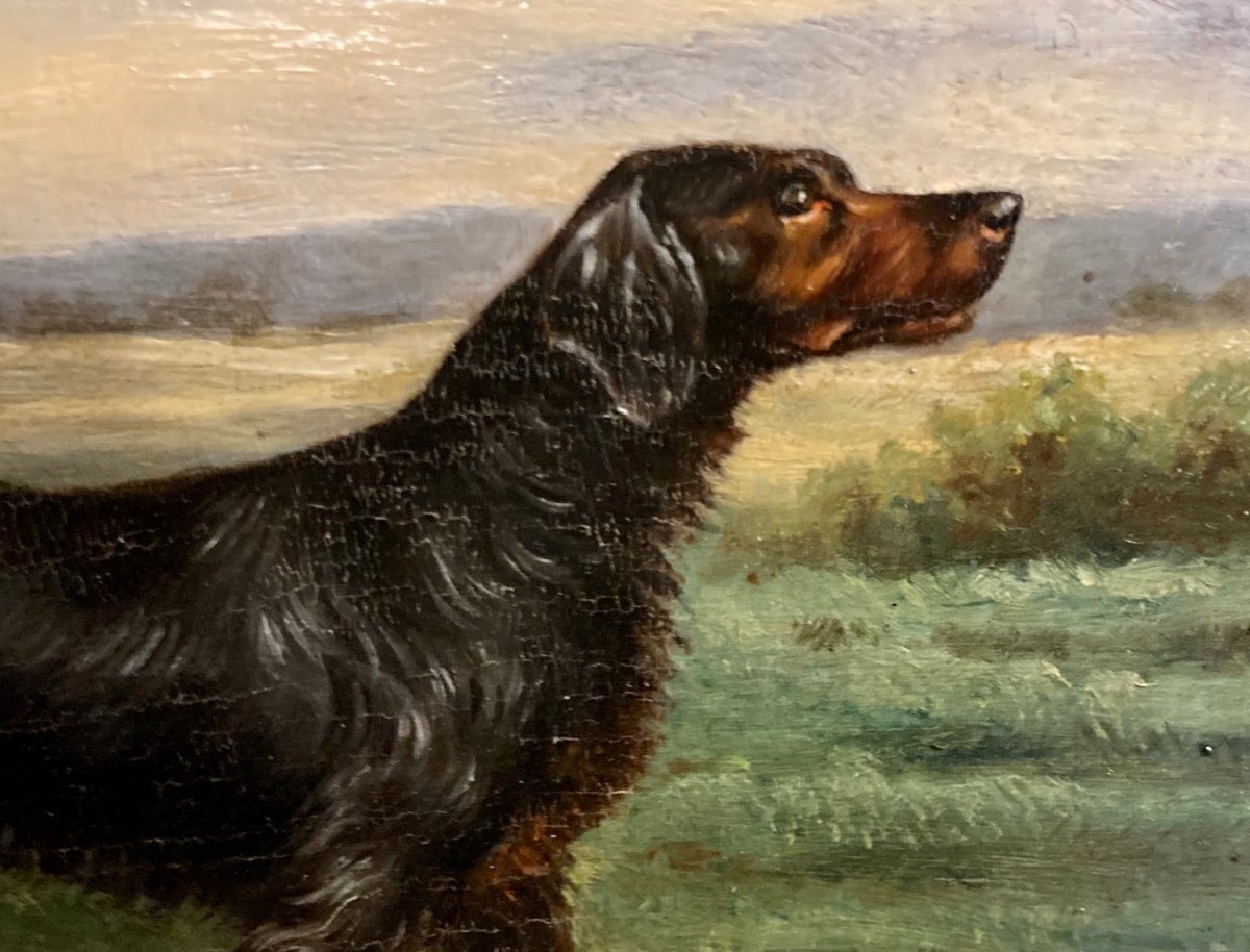 Early 20th Century Setter Oil Portrait