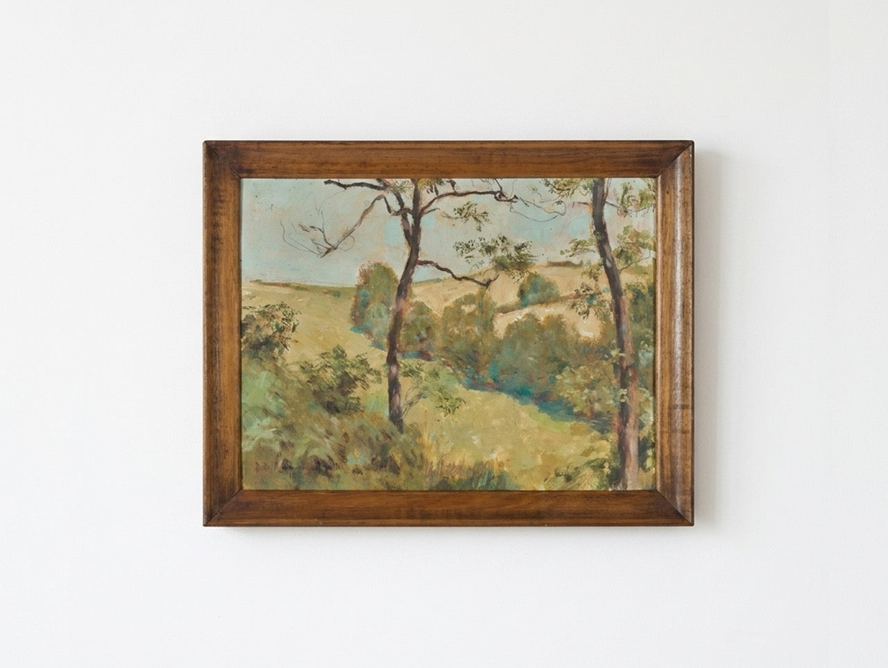 Sunlit French Lauragais Landscape by Henri Anspach