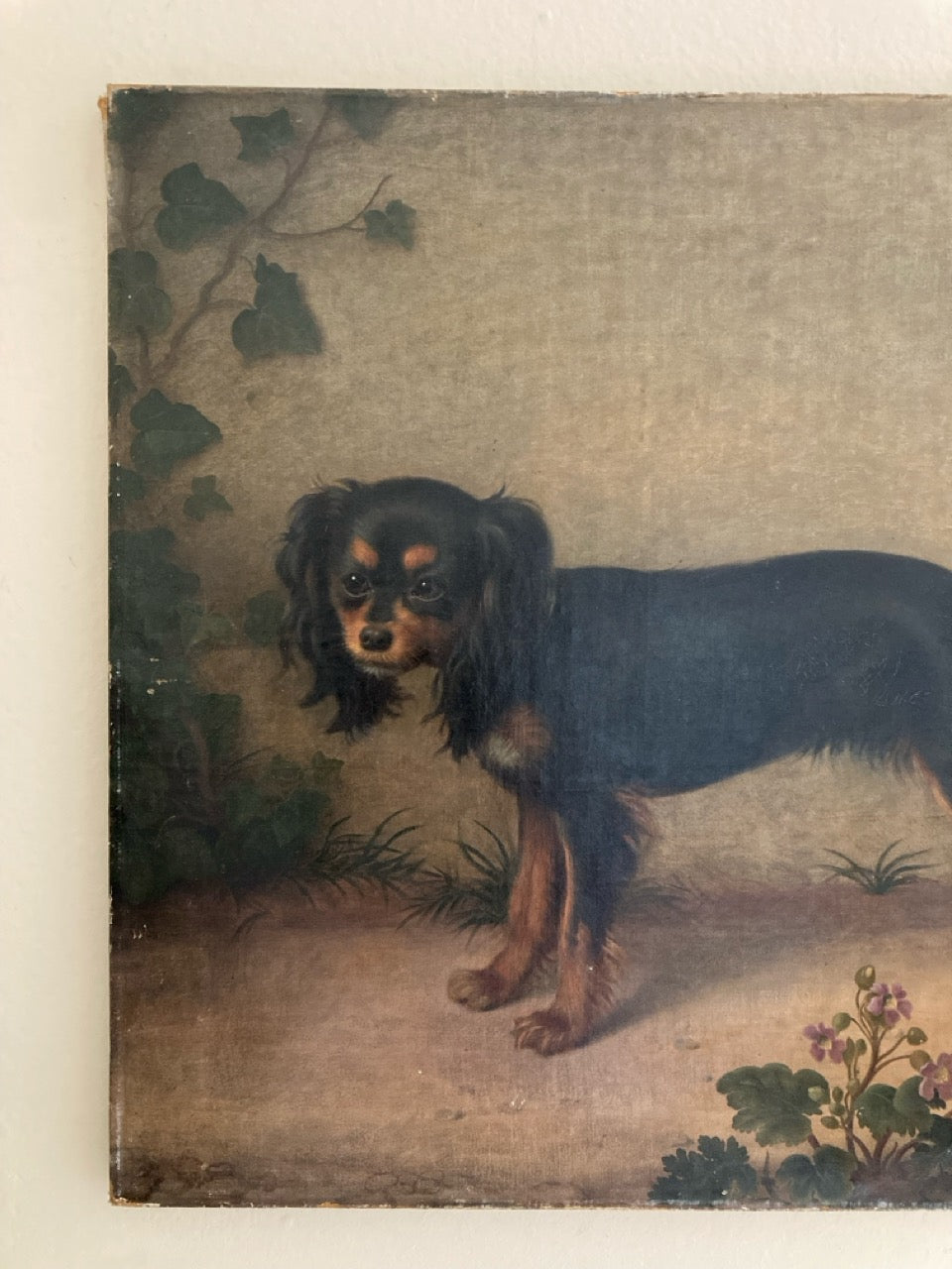 Antique Early 19th Century Black Spaniel Oil Portrait with Garden Flowers